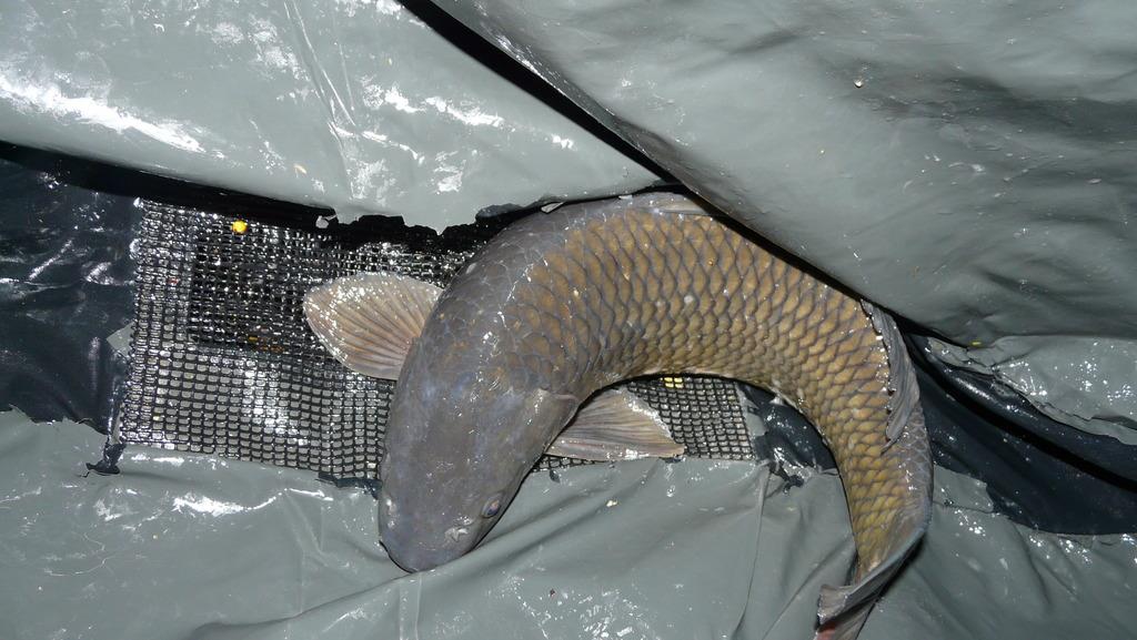 Magura 9 13 - 15 noiembrie 2015 - p1290982.jpg